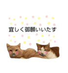 ネイマールカカズッコ（個別スタンプ：31）