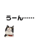 ネイマールカカズッコ（個別スタンプ：32）