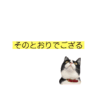 ネイマールカカズッコ（個別スタンプ：40）