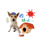 ぶんたとしぃたけ❤︎❤︎（個別スタンプ：1）