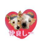 ぶんたとしぃたけ❤︎❤︎（個別スタンプ：5）
