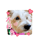 ぶんたとしぃたけ❤︎❤︎（個別スタンプ：8）