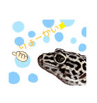 みなちんのレオパ3(らい編)（個別スタンプ：4）