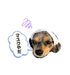 エイト part3（個別スタンプ：14）