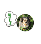 エイト part3（個別スタンプ：21）