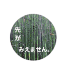 画像stamp 1（個別スタンプ：7）