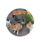 画像stamp 1（個別スタンプ：8）