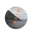画像stamp 1（個別スタンプ：11）