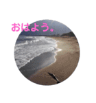 画像stamp 1（個別スタンプ：13）