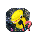 恐竜たちの挨拶②（個別スタンプ：1）
