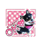 黒柴犬の♡あいさつ♡スタンプ01（個別スタンプ：13）