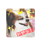 ちゅもちぃ2（個別スタンプ：3）