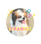 ちゅもちぃ2（個別スタンプ：6）