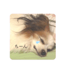 ちゅもちぃ2（個別スタンプ：7）
