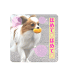 ちゅもちぃ2（個別スタンプ：8）