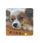 ちゅもちぃ2（個別スタンプ：17）