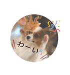 ちゅもちぃ2（個別スタンプ：20）