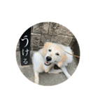 なつのウォル 2（個別スタンプ：1）