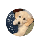 なつのウォル 2（個別スタンプ：2）