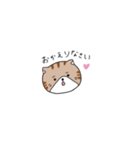 まゆげのあるねこ（個別スタンプ：5）