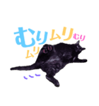 ハムとネコとヤギ（個別スタンプ：15）