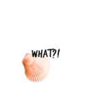 海を感じるSTAMP（個別スタンプ：8）