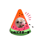 ゆるゆるレオン（個別スタンプ：30）