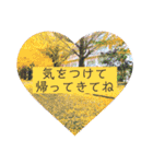 綺麗な景色と優しさスタンプ2（文字大）（個別スタンプ：1）