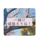 綺麗な景色と優しさスタンプ2（文字大）（個別スタンプ：4）