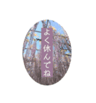 綺麗な景色と優しさスタンプ2（文字大）（個別スタンプ：8）