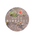 綺麗な景色と優しさスタンプ2（文字大）（個別スタンプ：11）