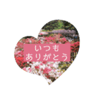 綺麗な景色と優しさスタンプ2（文字大）（個別スタンプ：12）
