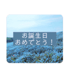 綺麗な景色と優しさスタンプ2（文字大）（個別スタンプ：15）