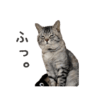 はだしのげん（個別スタンプ：1）