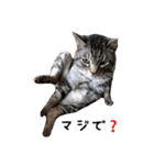 はだしのげん（個別スタンプ：5）