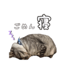 はだしのげん（個別スタンプ：11）