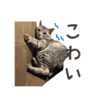 はだしのげん（個別スタンプ：12）