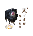 はだしのげん（個別スタンプ：16）