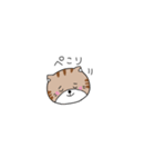 まゆげのあるねこ 2（個別スタンプ：11）