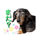 ひめとチャーリーの日常スタンプ♪（個別スタンプ：17）