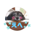 ひめとチャーリーの日常スタンプ♪（個別スタンプ：19）