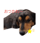 ひめとチャーリーの日常スタンプ♪（個別スタンプ：23）