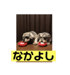 あまみのくろうなぎ（個別スタンプ：22）