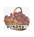 あまみのくろうなぎ（個別スタンプ：31）