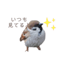 りくと君用語集（個別スタンプ：5）