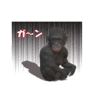チンパンジーの感情2（個別スタンプ：7）