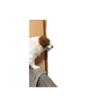宇宙人犬こうちゃん（個別スタンプ：3）