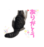 るーまにあ2（個別スタンプ：3）