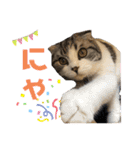 るーまにあ2（個別スタンプ：4）