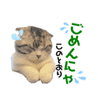 るーまにあ2（個別スタンプ：8）